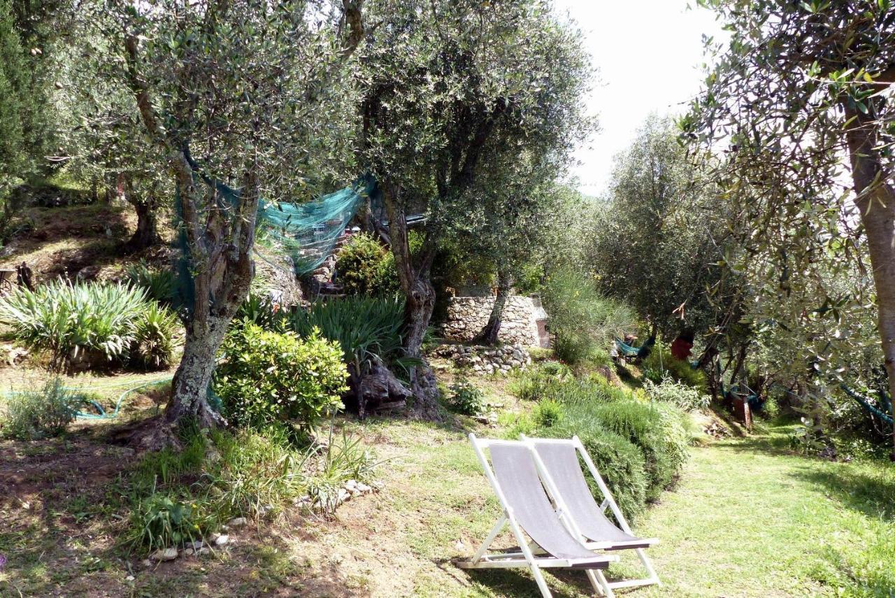 Il Giaggiolo Villa กาไมโยเร ภายนอก รูปภาพ