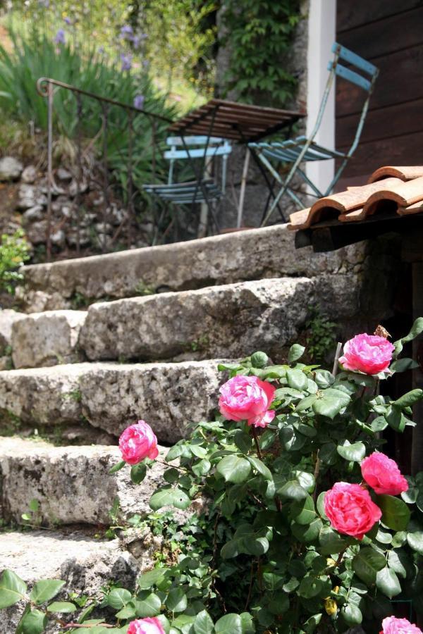 Il Giaggiolo Villa กาไมโยเร ภายนอก รูปภาพ