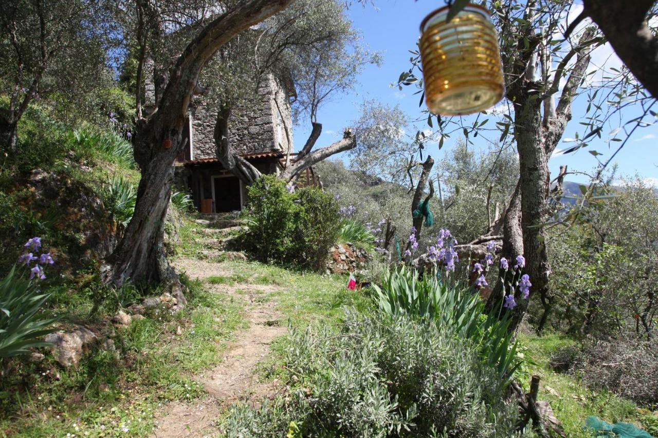 Il Giaggiolo Villa กาไมโยเร ภายนอก รูปภาพ