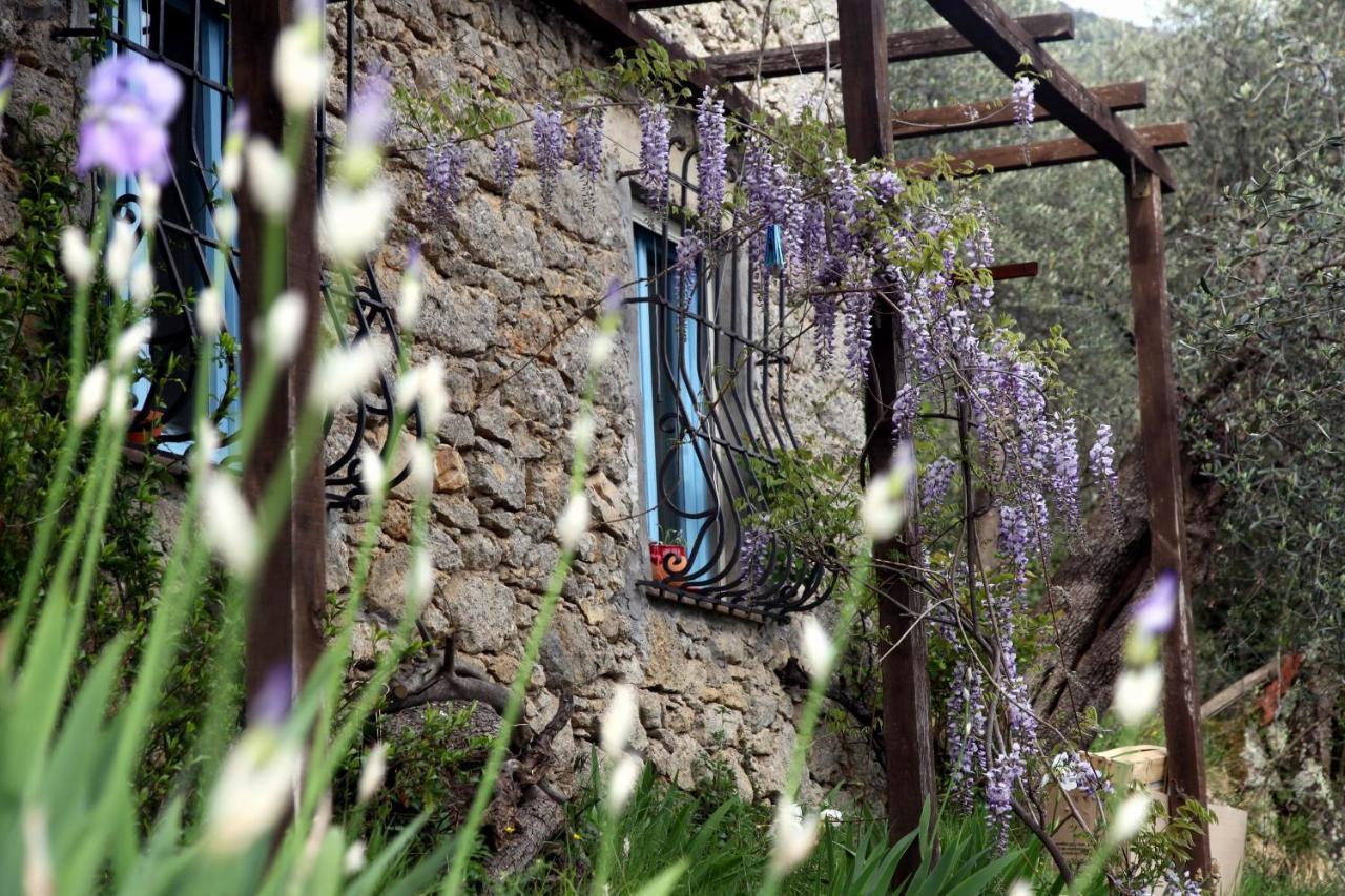 Il Giaggiolo Villa กาไมโยเร ภายนอก รูปภาพ