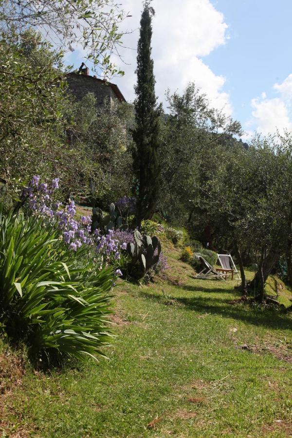 Il Giaggiolo Villa กาไมโยเร ภายนอก รูปภาพ