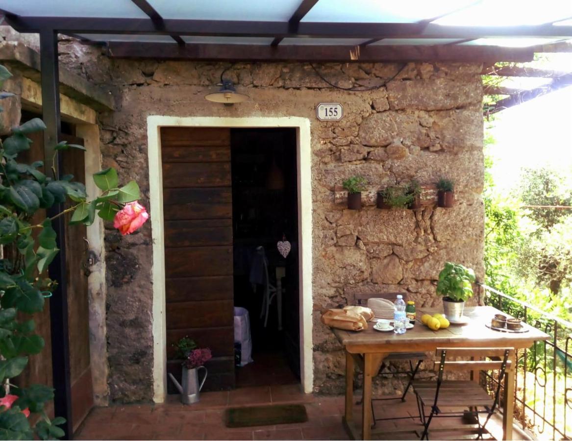 Il Giaggiolo Villa กาไมโยเร ภายนอก รูปภาพ