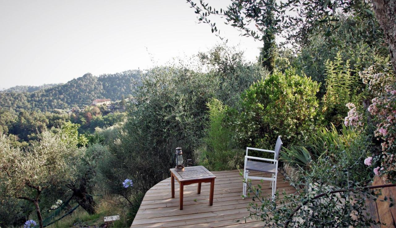 Il Giaggiolo Villa กาไมโยเร ภายนอก รูปภาพ